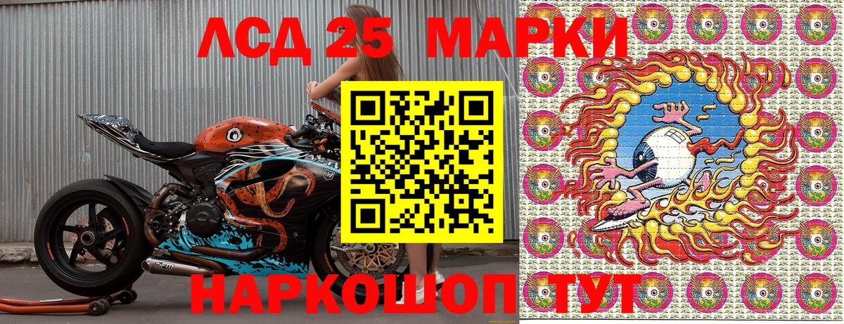 где купить наркоту  Наркотические марки 1,5мг  Вход с VPN  Волоколамск 