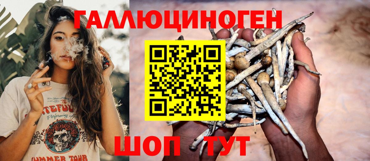 Волоколамск  где продают   Вход с VPN  Галлюциногенные грибы Psilocybine cubensis 