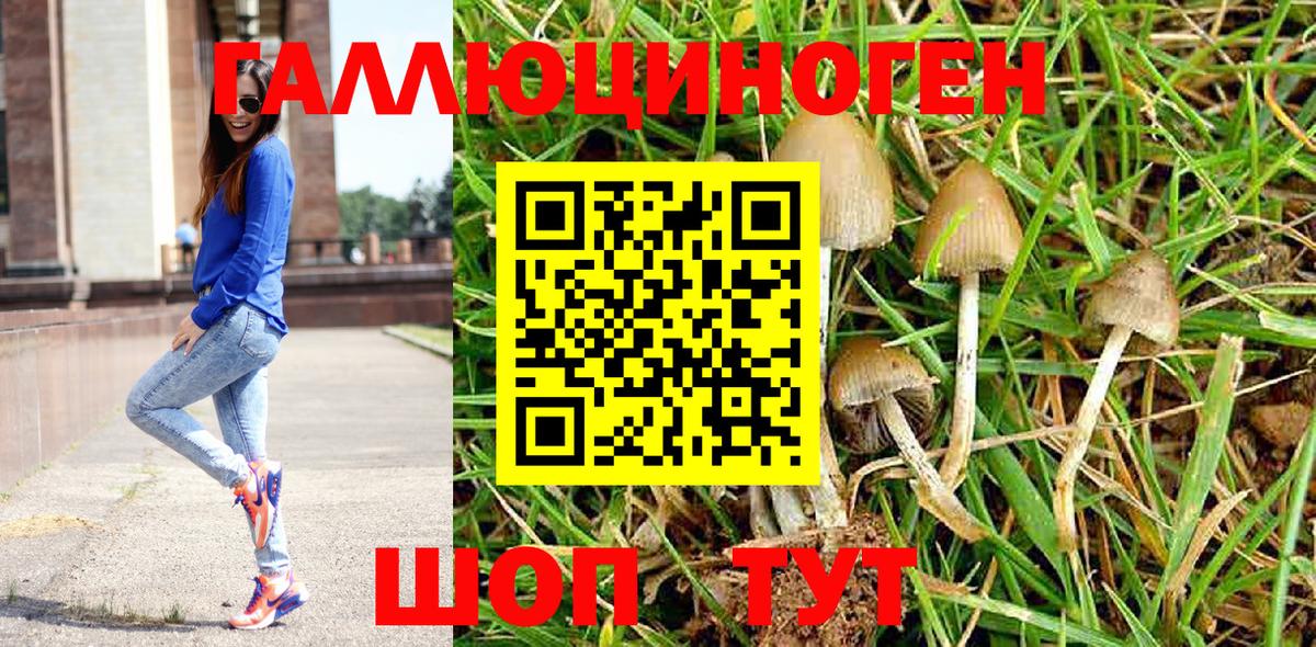 Галлюциногенные грибы MAGIC MUSHROOMS Волоколамск