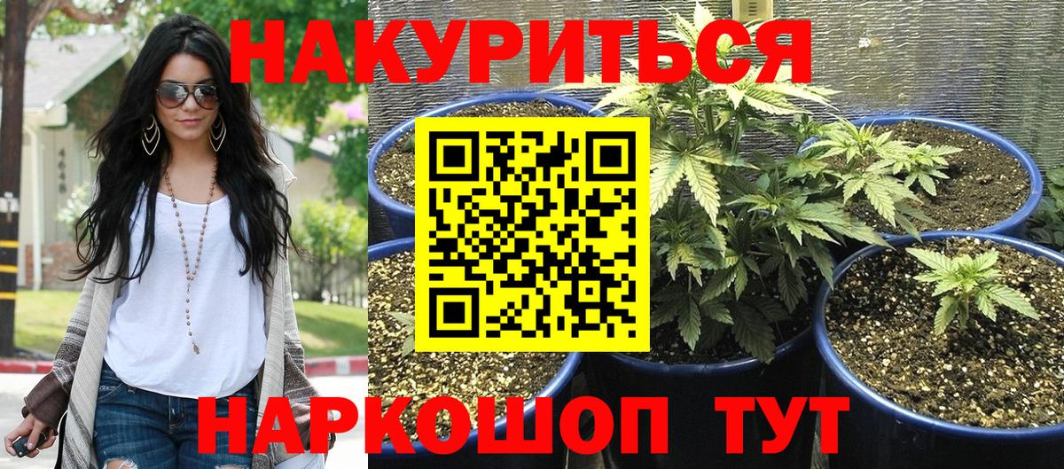 Бошки Шишки VHQ Волоколамск